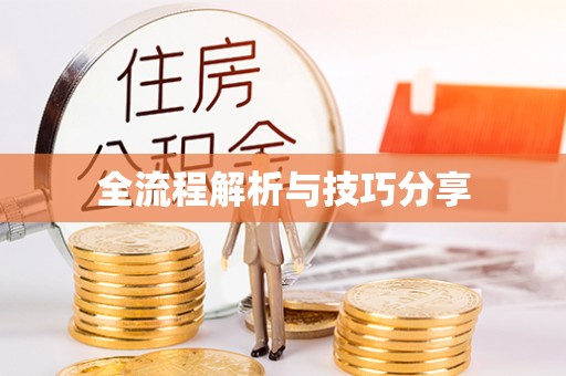 冈山全流程解析与技巧分享